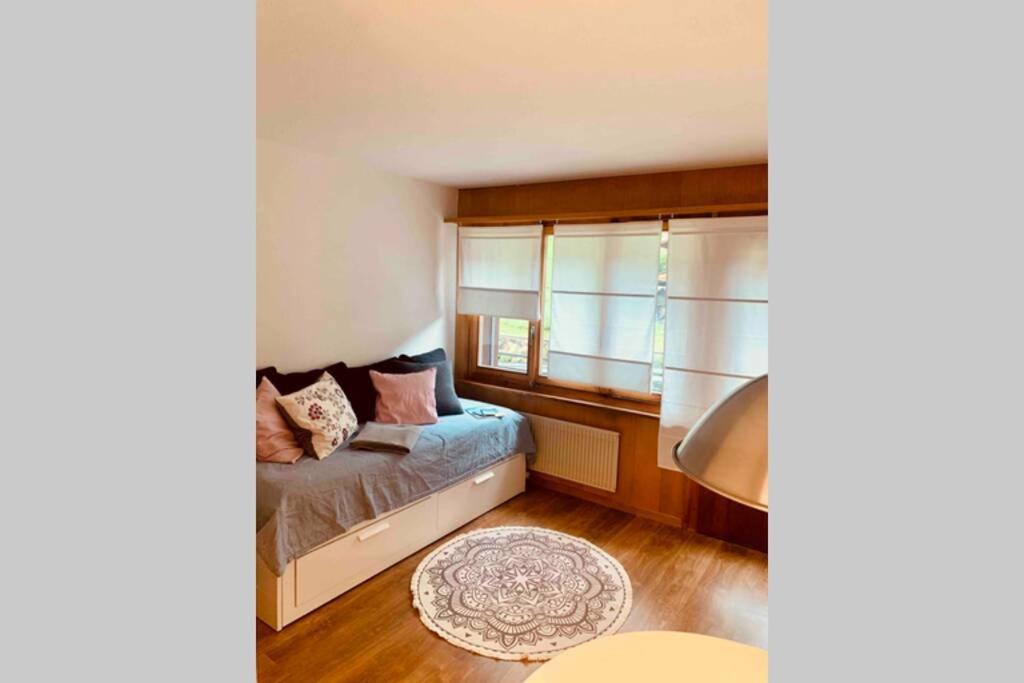 Studio Im Modernen Alpenstyle Adelboden Dış mekan fotoğraf